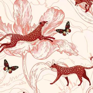 精品国产97在线观看
