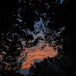 精品国产97在线观看
